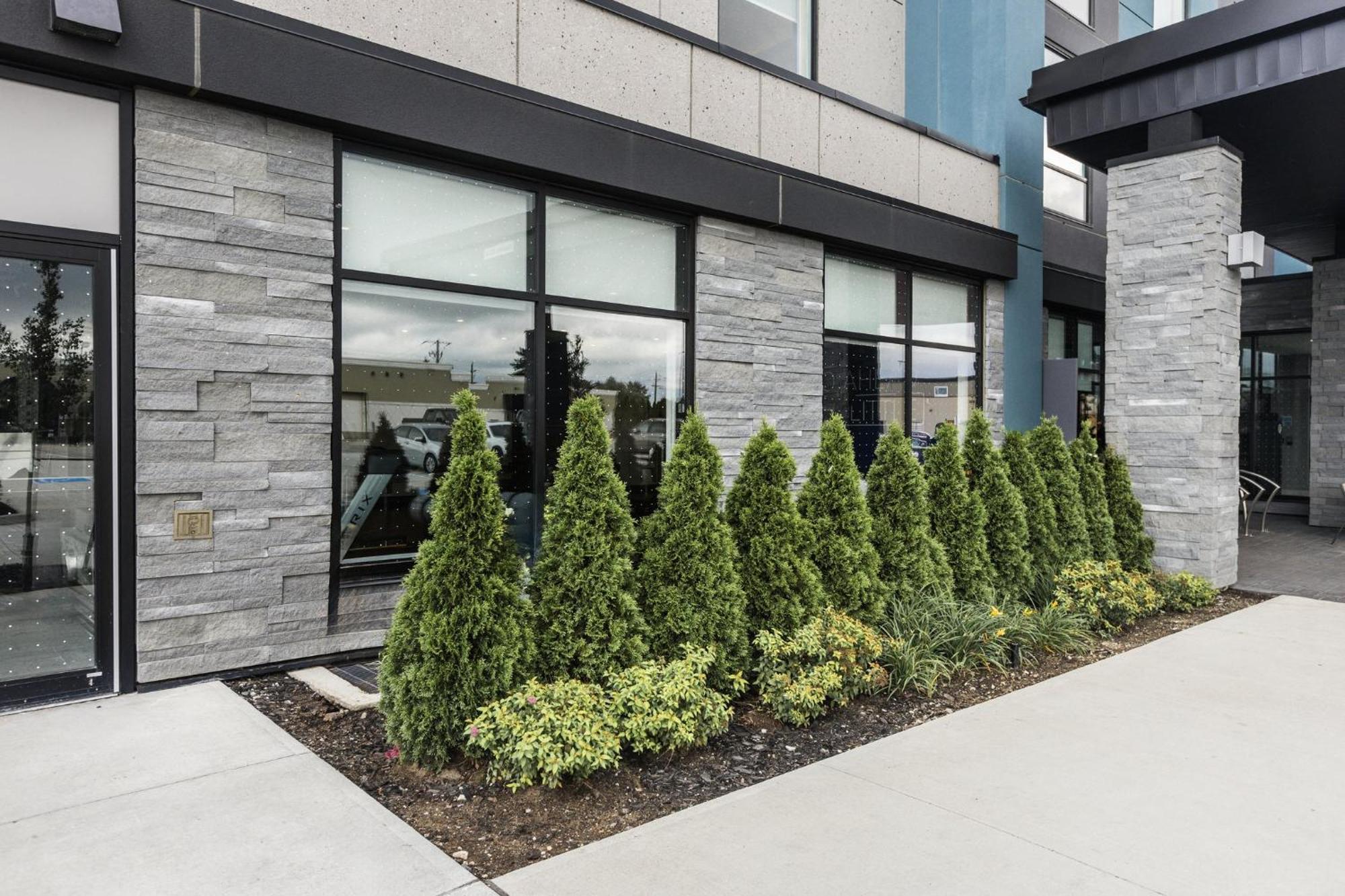 Holiday Inn Express & Suites - Toronto Airport South By Ihg מראה חיצוני תמונה